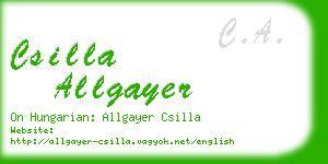 csilla allgayer business card
